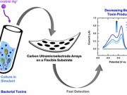 Носимые «умные» датчики определяют степень тяжести раны, не снимая повязки