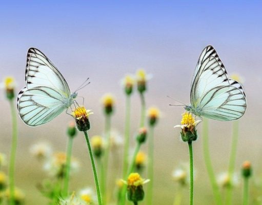 Апрель в Украине начнется тепло и солнечно