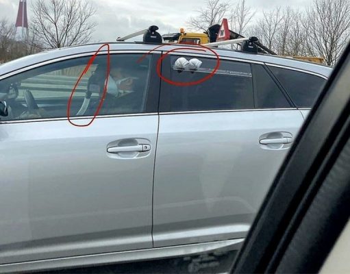 Автоинструкторы Латвии спасаются от коронавируса аквалангами