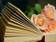 Книги на 8 Марта: от кулинарных историй Ольги Фреймут до всей правды про оргазм