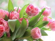 Короткие поздравления с 8 Марта