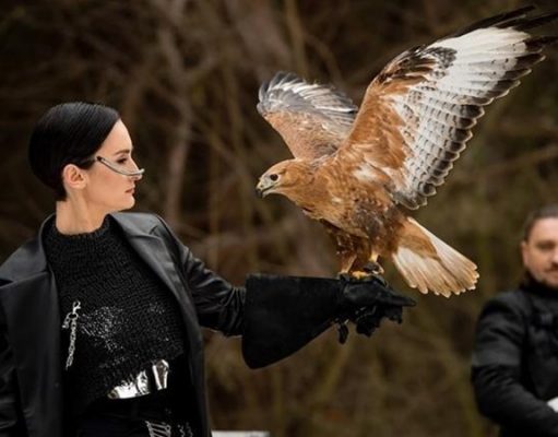 Орнитологи заступились за Go_A в скандале с зоозащитниками