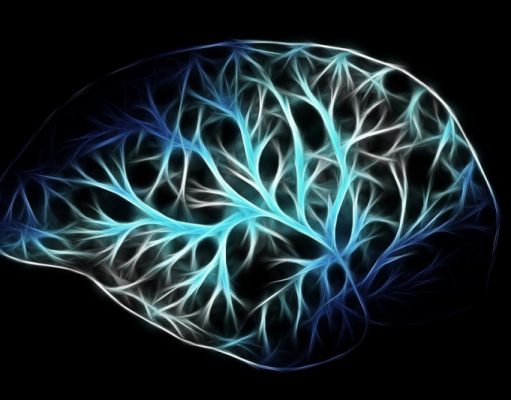 Ученые хотят подключить человеческий мозг к компьютеру через вены!