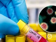 Украинцам подсовывают фальшивые COVID-справки: как работает схема и что грозит покупателям