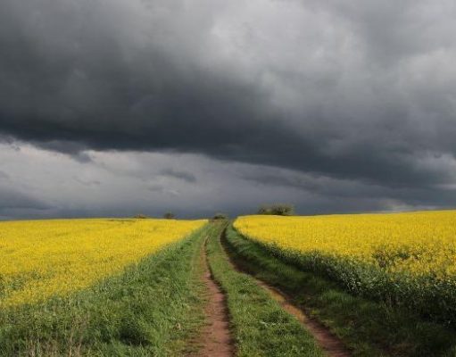 Когда в Украине потеплеет по-настоящему: что обещают синоптики