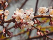 Погода на майские праздники: после Пасхи должно потеплеть, но ждите дождей