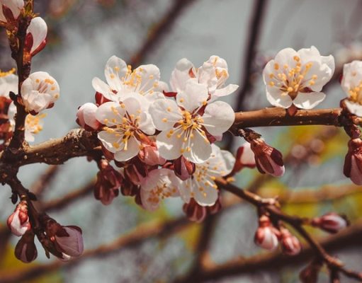 Погода на майские праздники: после Пасхи должно потеплеть, но ждите дождей