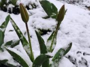 Украину заморозит накануне Пасхи