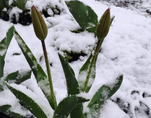 Украину заморозит накануне Пасхи