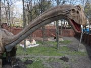 В Киеве откроют самый большой в Украине парк динозавров