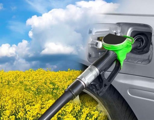 В Минэнерго заявили, что цены на бензин адекватны