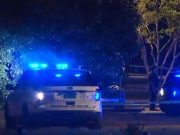 В США произошла стрельба в парке, есть погибший и раненые