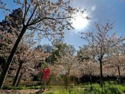 В Украину идет новый циклон с похолоданием, и заморозки не отступают