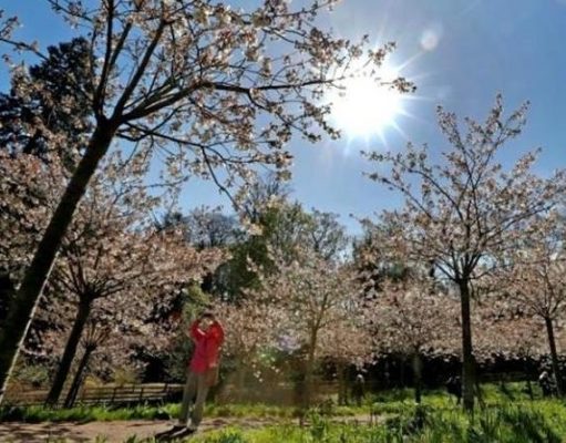 В Украину идет новый циклон с похолоданием, и заморозки не отступают