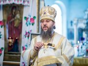 Вербное воскресенье на самом деле… пальмовое