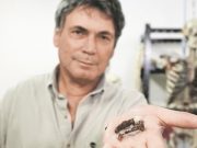 Неужели найдены гвозди именно с распятия Христа?