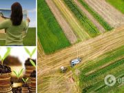 Право на землю: украинцев хотят заставить выкупить свои участки или оформить их в аренду