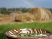 Раскрыт секрет трипольского борща: собрать все травы вокруг дома