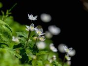 Украинцев предупредили о грядущей жаре