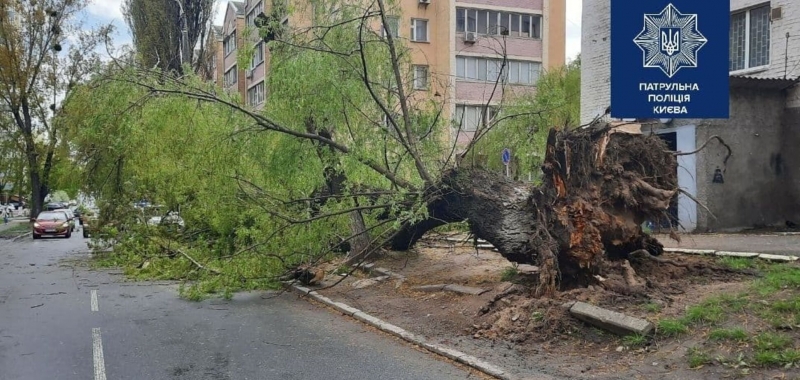 В Киеве ветер сломал деревья и повалил заборы. Фото непогоды