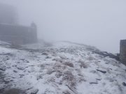 Весна попрощалась с украинцами затопленными улицами, снегом и нашествием гусениц