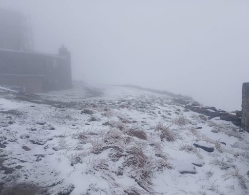 Весна попрощалась с украинцами затопленными улицами, снегом и нашествием гусениц