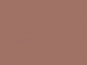 Выставки, посвященные Дому Романовых