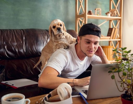 Зоопсихолог: Животным пережить посткарантинное одиночество сложнее, чем людям выйти на работу