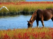 13 июня: праздник, что нельзя делать, приметы и именинники
