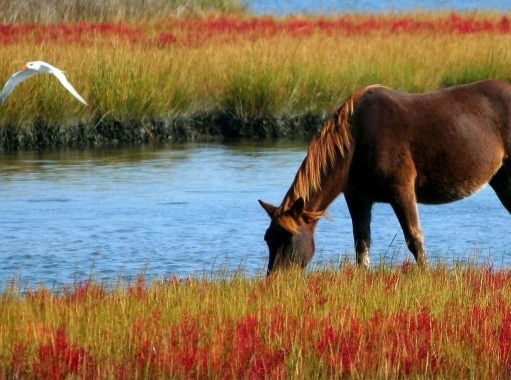13 июня: праздник, что нельзя делать, приметы и именинники