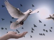 21 июня: праздник, приметы на Федора Колодезника и именинники