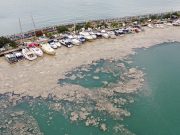 Остановит ли туристов загадочная слизь в Мраморном море