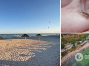 Отдохнуть можно дешево, но есть нюансы: туристы штурмуют Одессу, Бердянск и Кирилловку. Видео