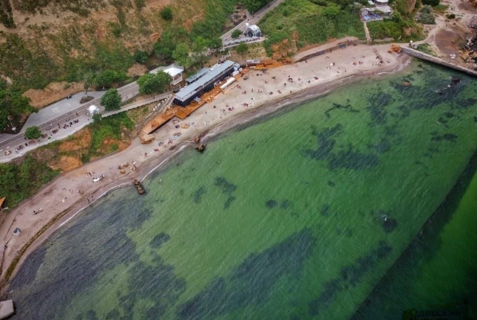 Отдых на море в Украине: с токсичными водорослями, змеями и морскими блохами