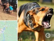 Под Днепром на пляже охранник спустил собаку на отдыхающего. Видео 18+