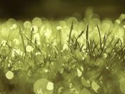 19 июля: праздник, приметы на Сысоев день и именинники