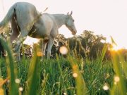 25 июля: праздники, что нельзя делать, приметы и именинники