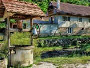 5 июля: праздник, приметы на Евсеев день и именинники