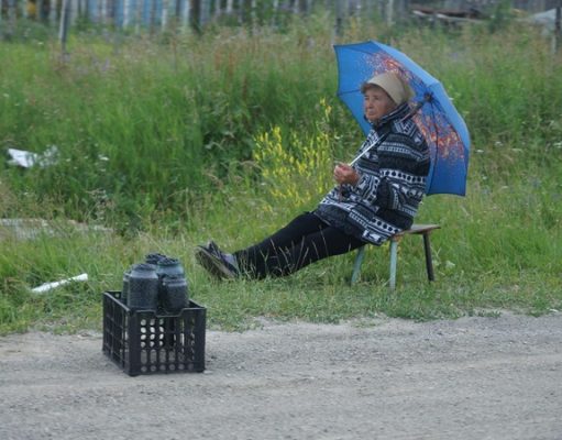 Черничные войны на Житомирщине: чтобы выгнать чужих собирателей, люди пробивают им колеса