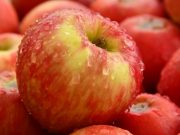 Какими будут цены на яблоки в 2021 году: прогноз эксперта