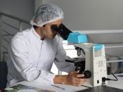 Китайские ученые нашли в Марианской впадине гигантские вирусы