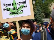 Коррупция против обезболивания: для потребностей больных, Украине хватит одного гектара конопли