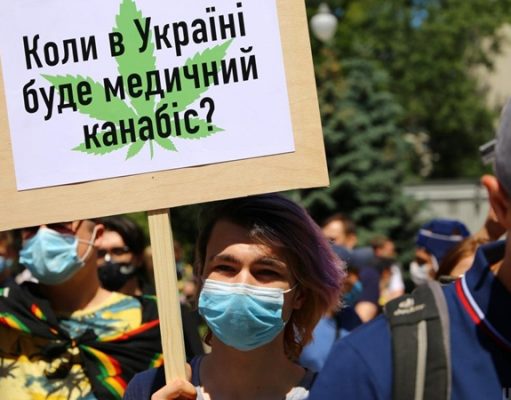 Коррупция против обезболивания: для потребностей больных, Украине хватит одного гектара конопли