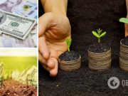 Министр агрополитики рассказал, сколько стоит гектар земли в Украине