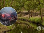 В Киеве несколько раз пытались поджечь уникальный участок природы. Фото и Видео
