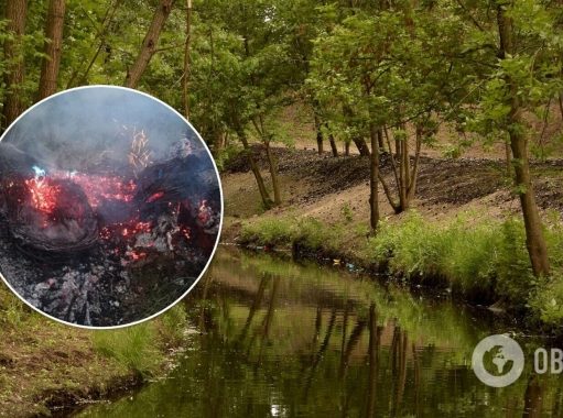 В Киеве несколько раз пытались поджечь уникальный участок природы. Фото и Видео
