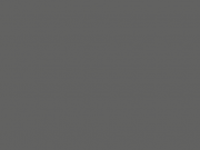 В Государственном музее Востока покажут работы художников Тайваня