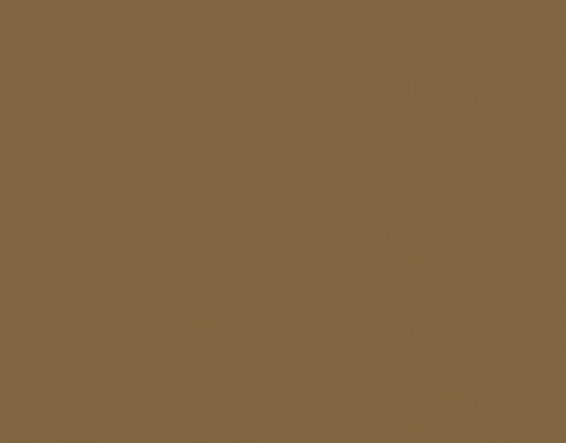 В России появится программа популяризации культурных мероприятий среди молодежи