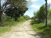 Бермудский треугольник на Волыни: летом замерзает почва, а из-под земли раздается звон