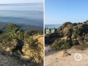 В курортном Бердянске пляжи »утопают» в водорослях, к их расчистке привлекли бульдозеры. Фото и видео